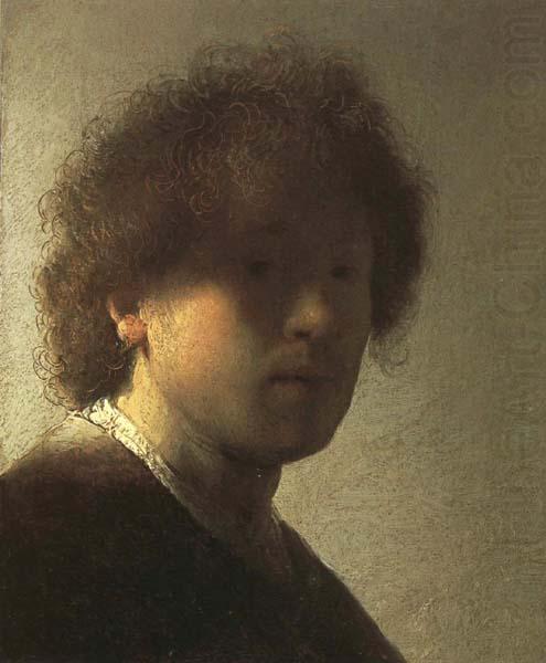 Rembrandt van rijn Self-Portrait as a Young Man china oil painting image